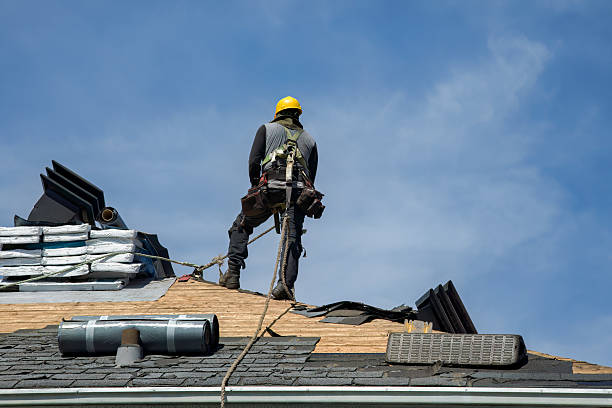 Professional Metal Roofing technician working in Piffard, NY